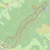 Raquettes vers la Tête des Faux - Orbey GPS track, route, trail