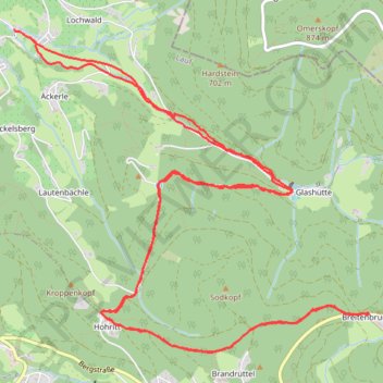 Lauf (forêt noire) GPS track, route, trail