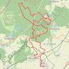 Les fougères en forêt d'Ermenonville - Othis GPS track, route, trail