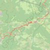 Chemin de Compostelle : Roncevaux - Zubiri GPS track, route, trail