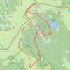 Du Hohneck au Kastelberg par les Spietzkoepfe et le Sentier des Névées GPS track, route, trail
