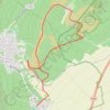 Guebwiller - Circuit du Bollenberg GPS track, route, trail
