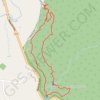 Tristania Falls - Crystal Shower Falls - Wonga Walk GPS track, route, trail