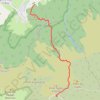 RandoPitons.re #1262 - Du Piton Doré au Piton Textor GPS track, route, trail