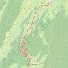 Randonnée raquettes "Le Cernay" GPS track, route, trail