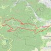Guebwiller - Circuit du Kohlschlag GPS track, route, trail