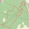 Course à pied en forêt de Colmar GPS track, route, trail