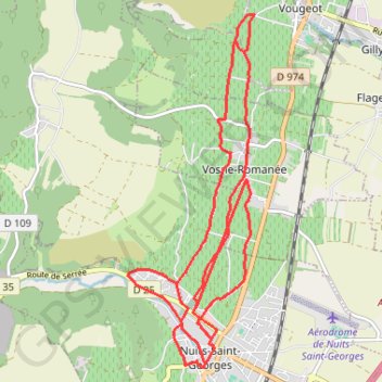 Semi-marathon de Nuits Saint Georges GPS track, route, trail