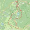Sentier des Roches - Col de la Schlucht GPS track, route, trail