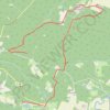 Lisse, aux portes de la forêt Landaise GPS track, route, trail
